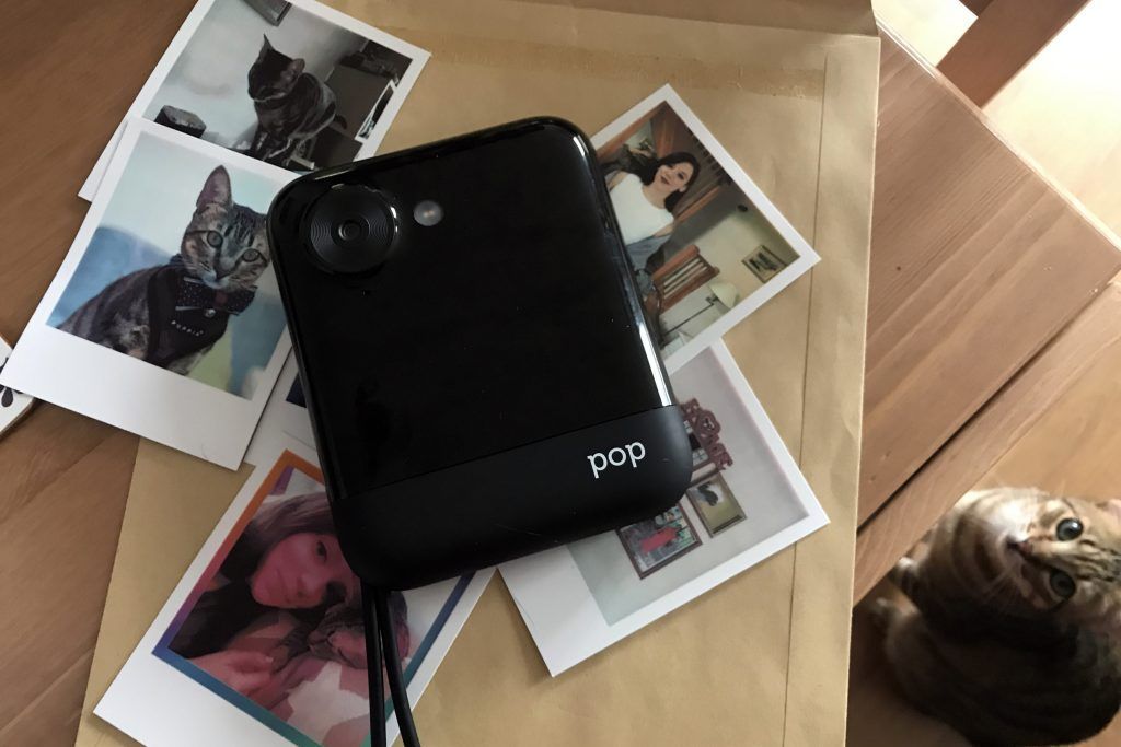 Pop Polaroid Fotos Gatos